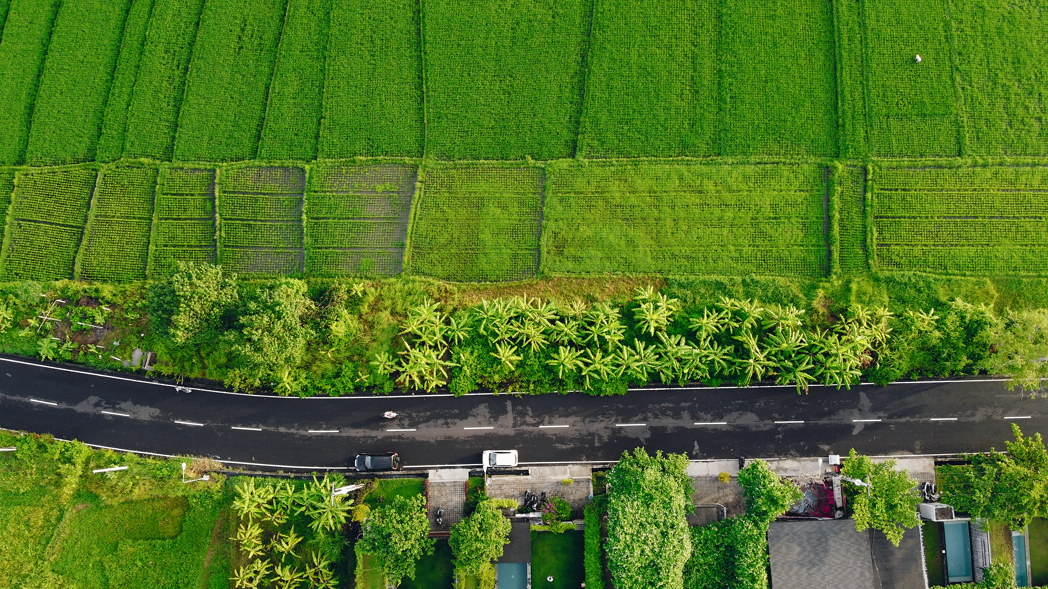 https://img.moneyduck.com/article_attachment/1665551078-fields-bali-are-photographed-from-drone.jpg