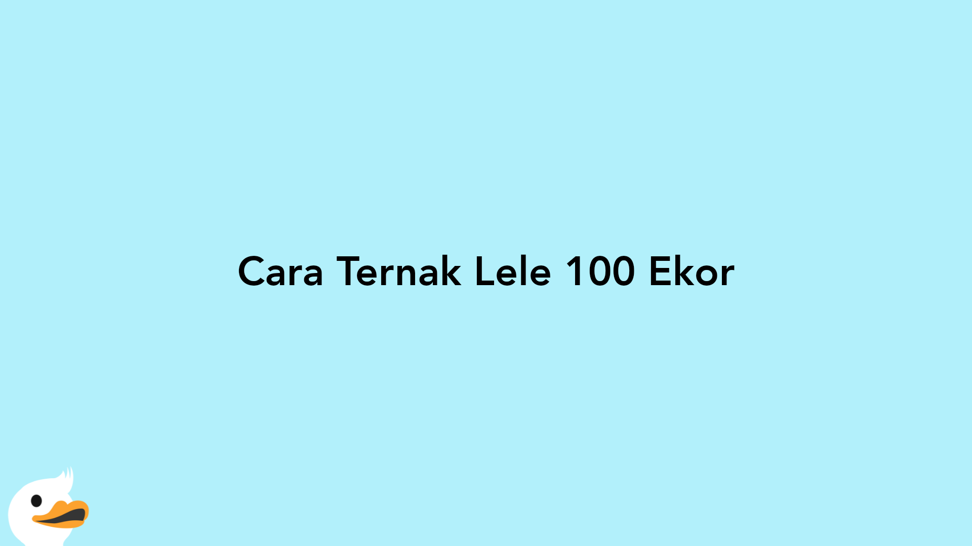 Cara Ternak Lele 100 Ekor