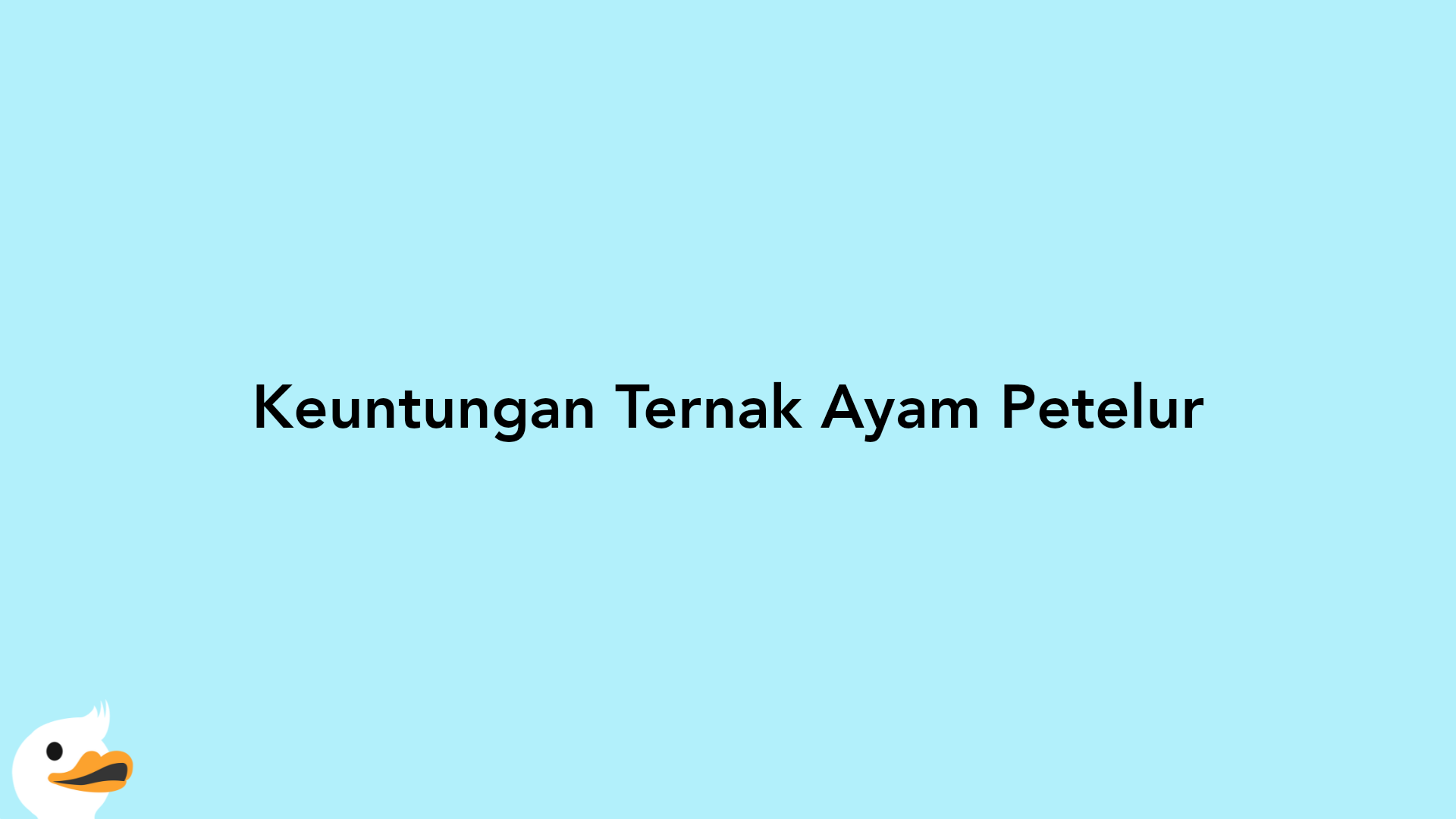 Keuntungan Ternak Ayam Petelur