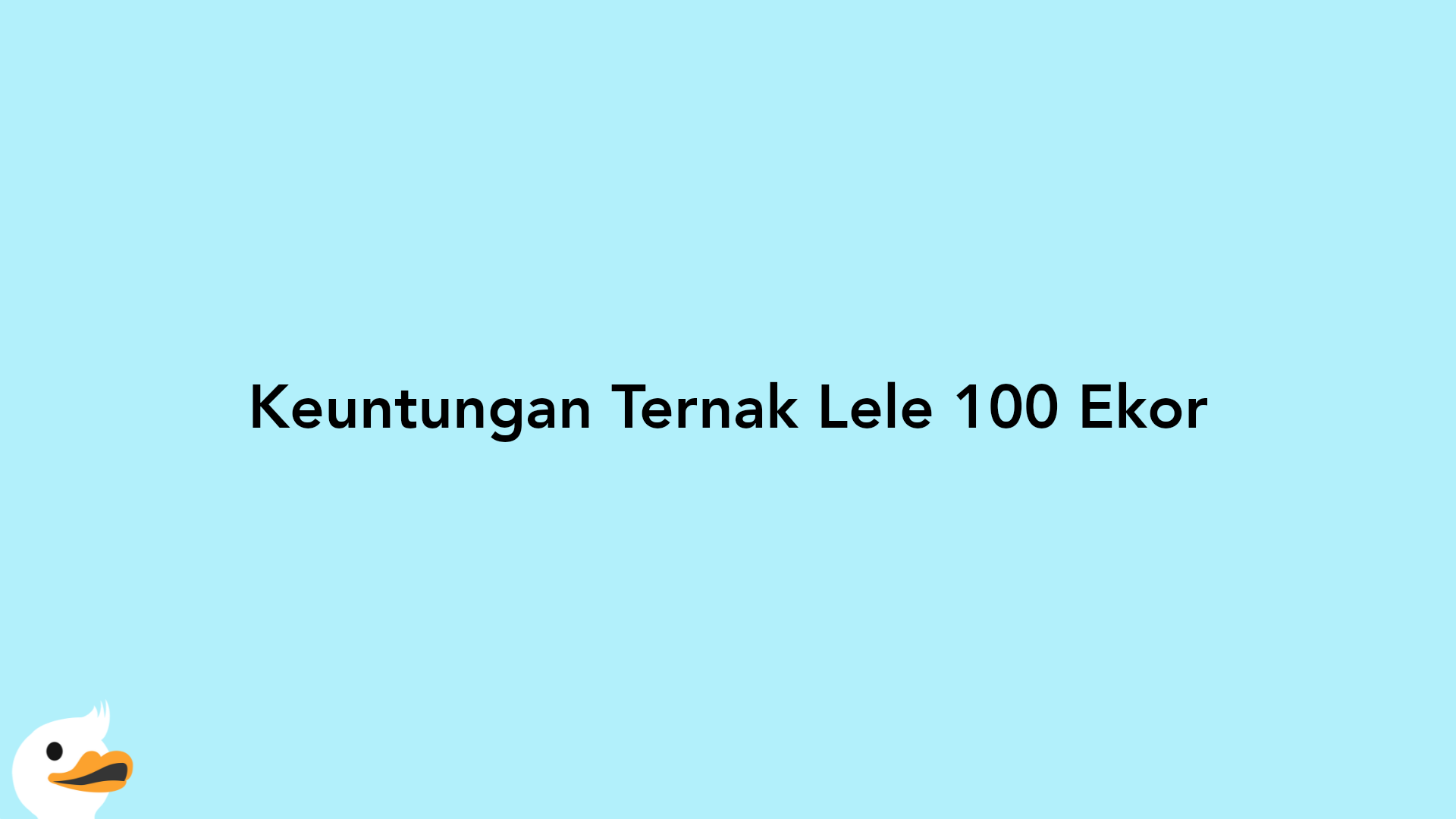 Keuntungan Ternak Lele 100 Ekor