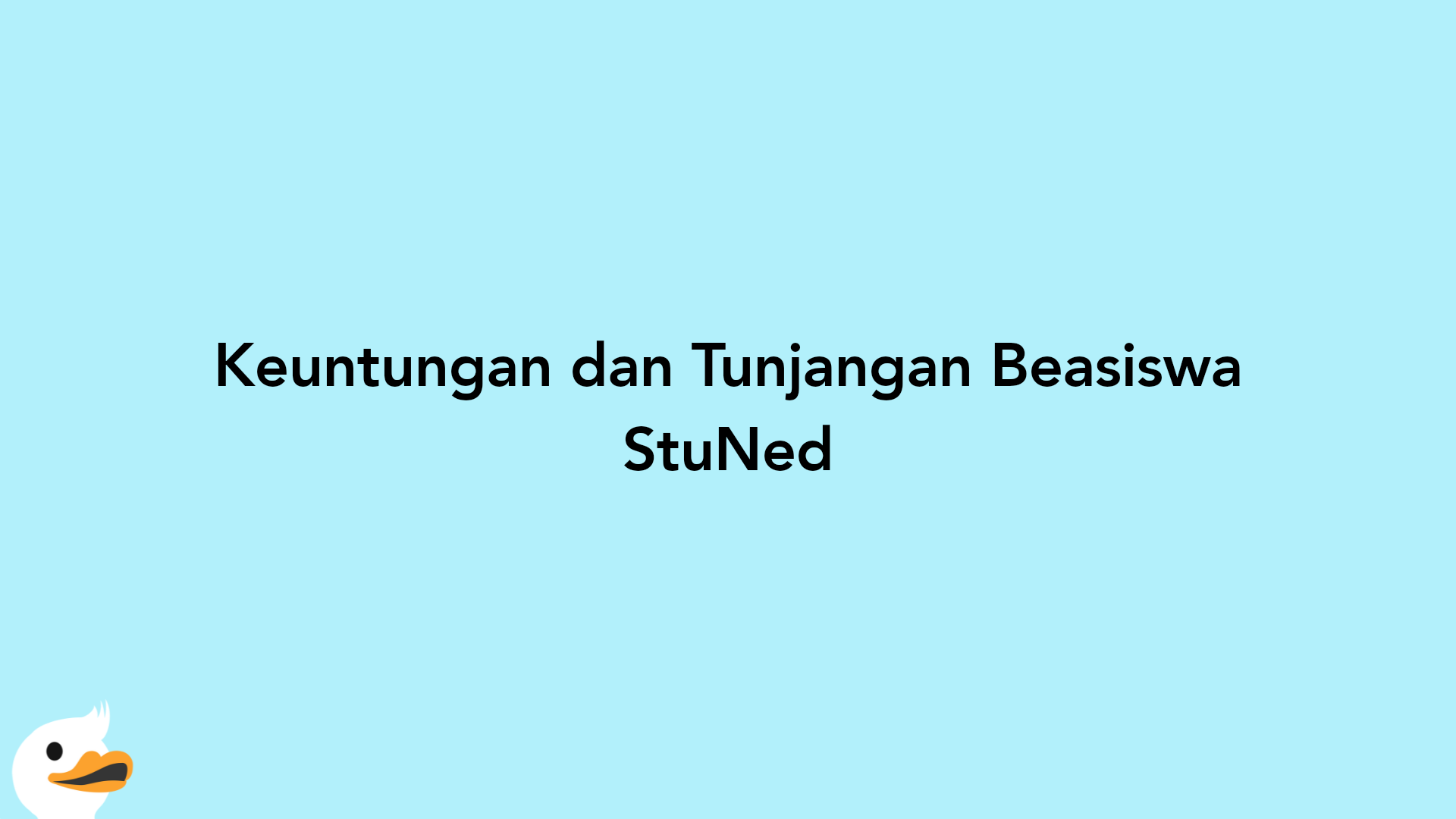 Keuntungan dan Tunjangan Beasiswa StuNed