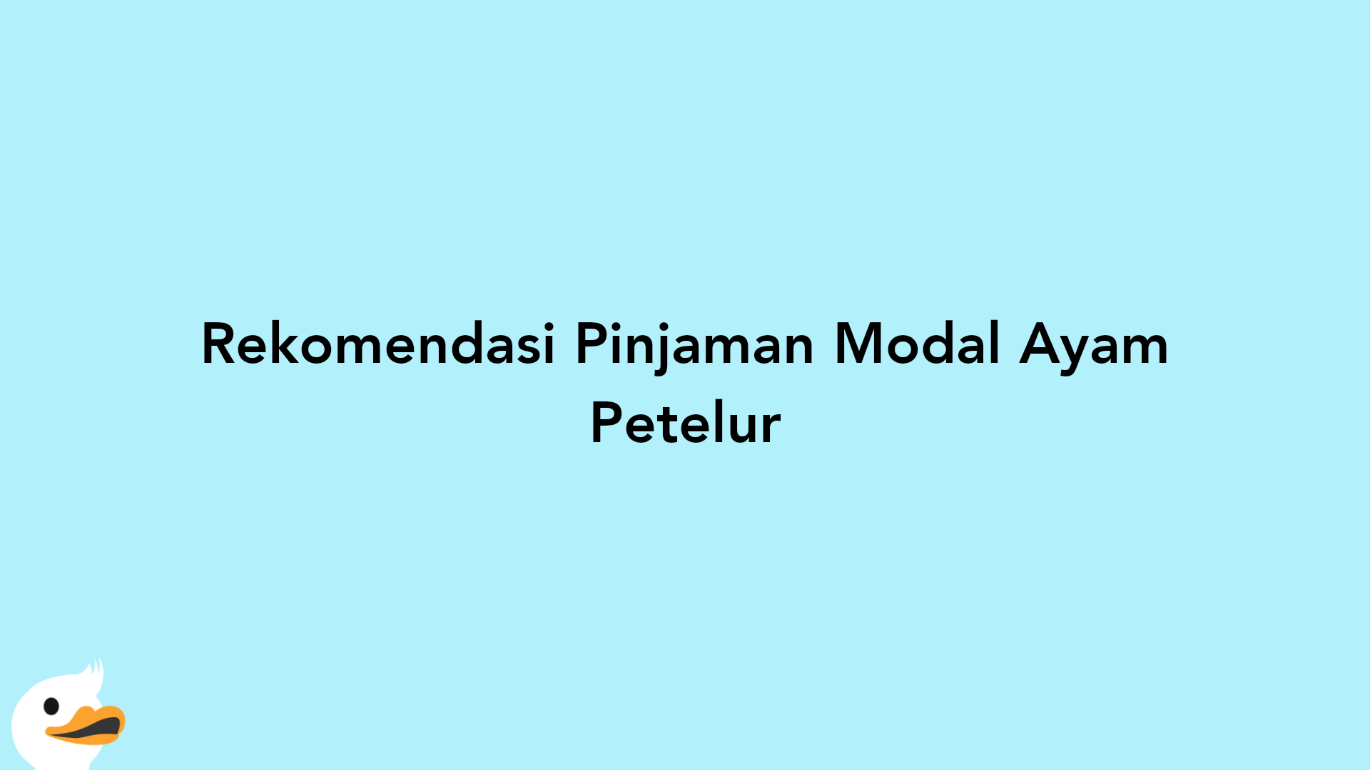 Rekomendasi Pinjaman Modal Ayam Petelur