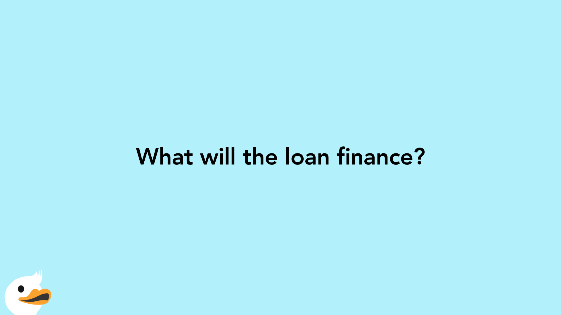 What will the loan finance?
