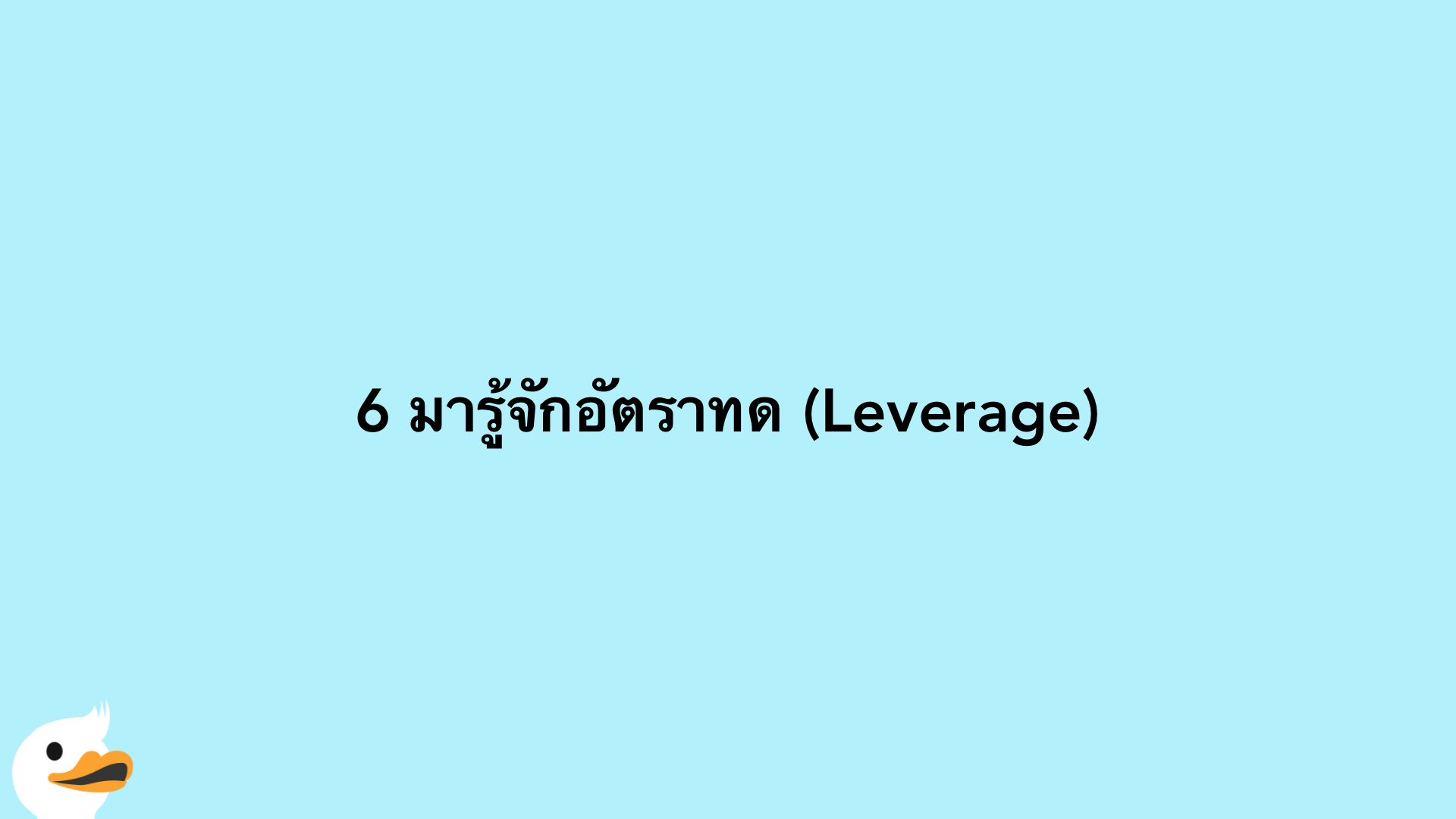 6 มารู้จักอัตราทด (Leverage)