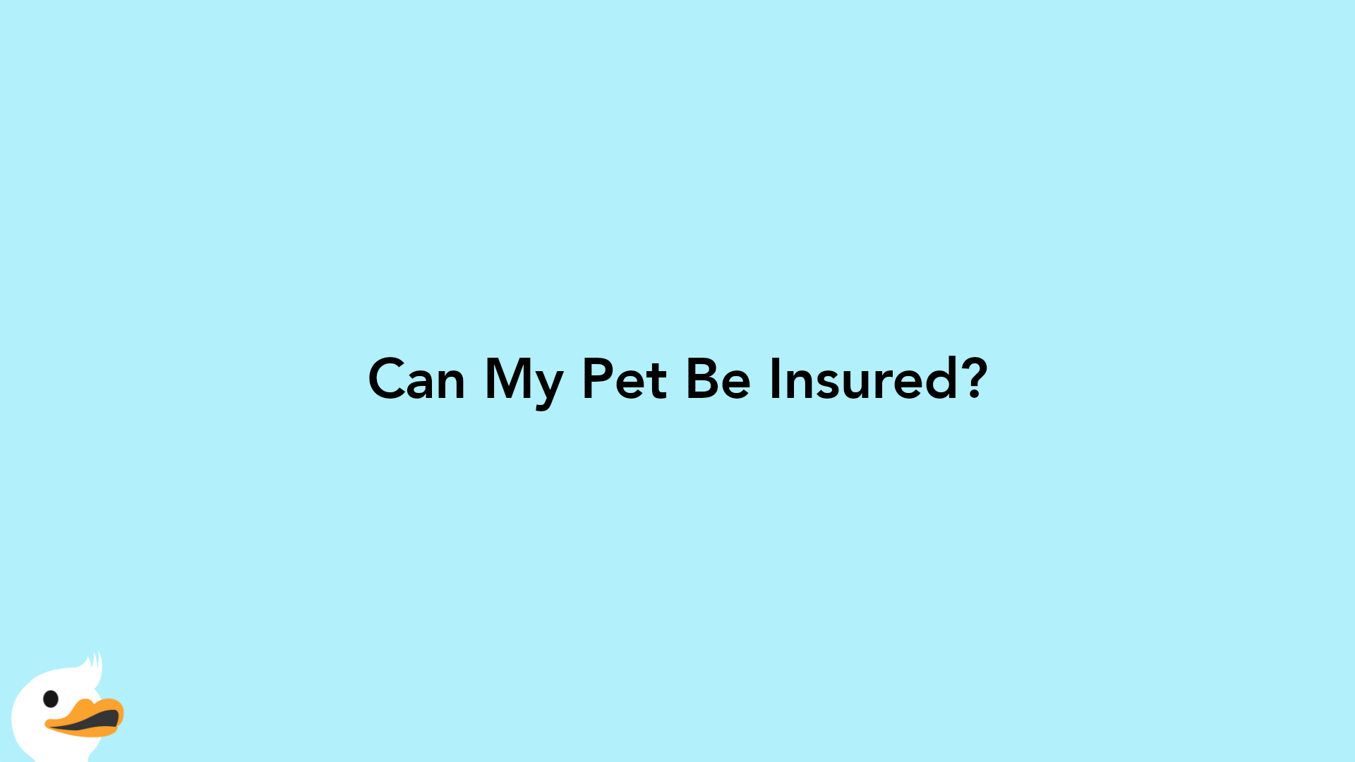 Can My Pet Be Insured?