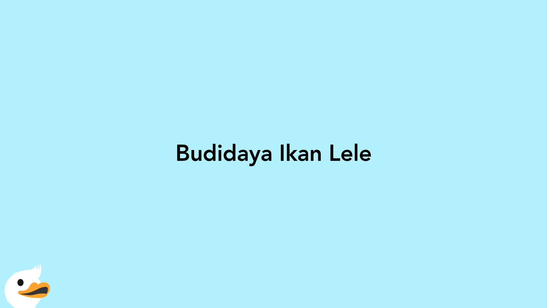 Budidaya Ikan Lele