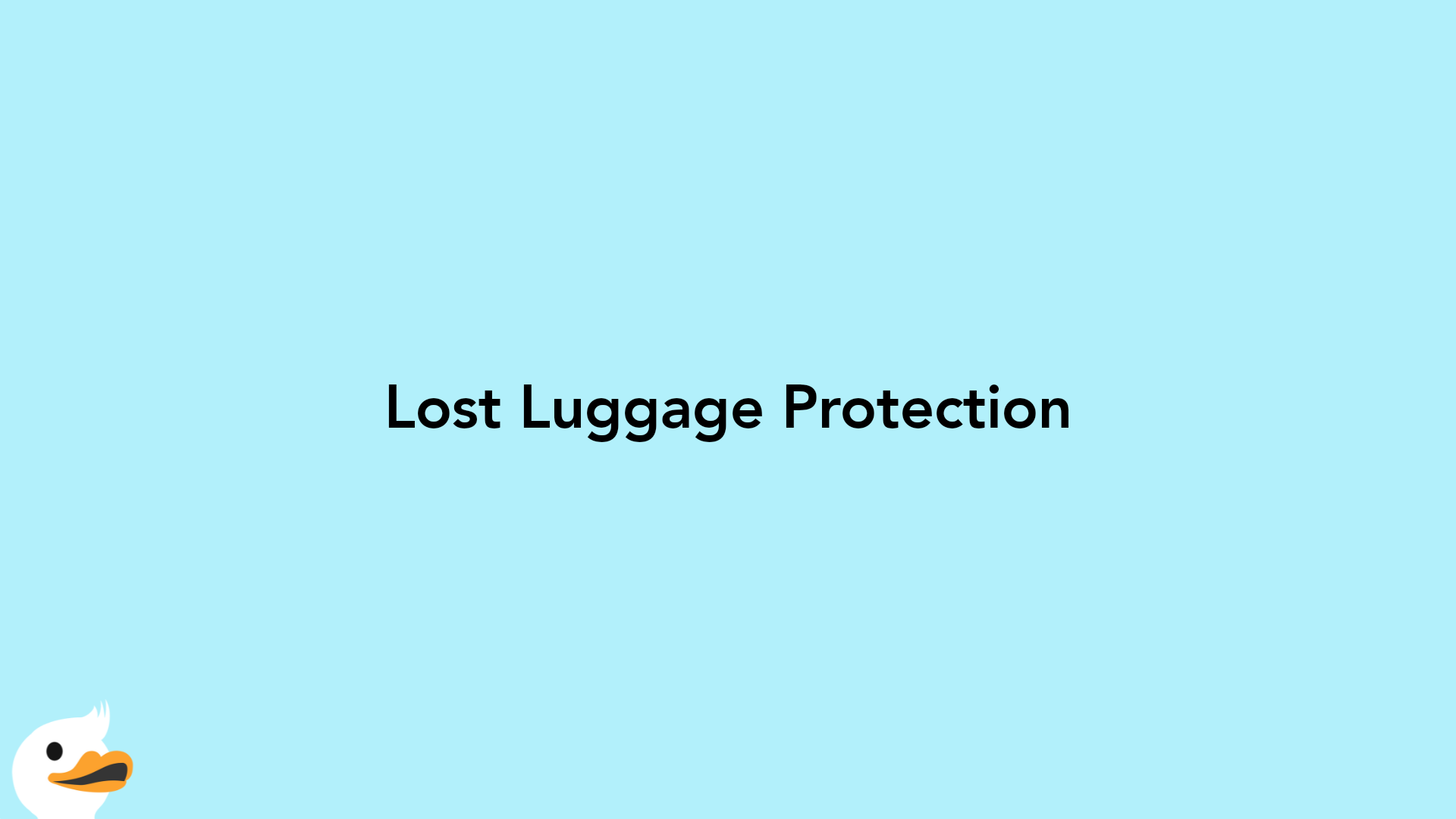 Lost Luggage Protection