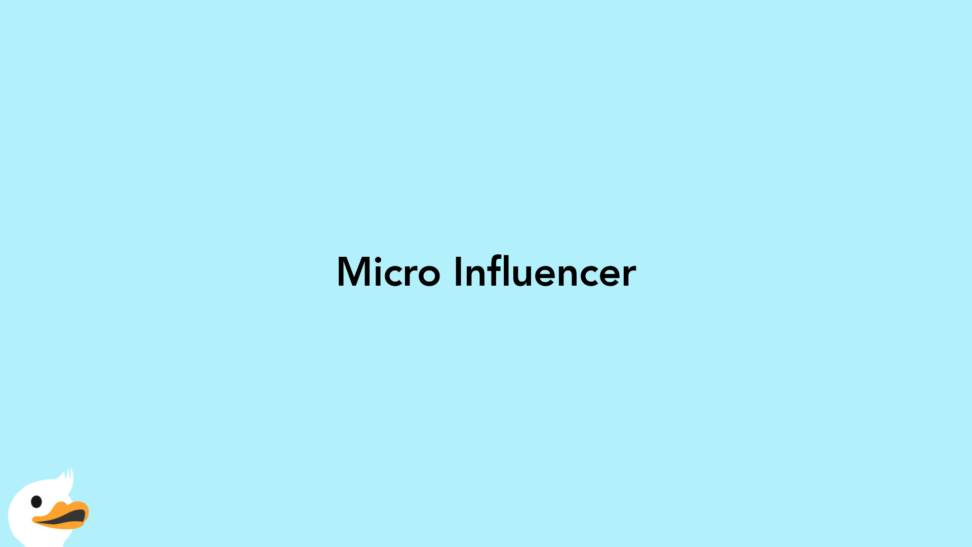 Micro Influencer