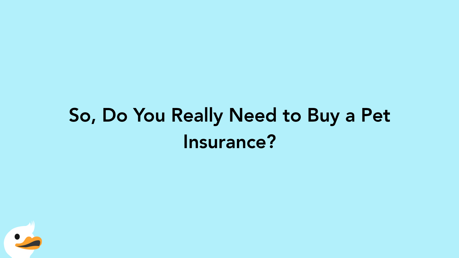 So, Do You Really Need to Buy a Pet Insurance?