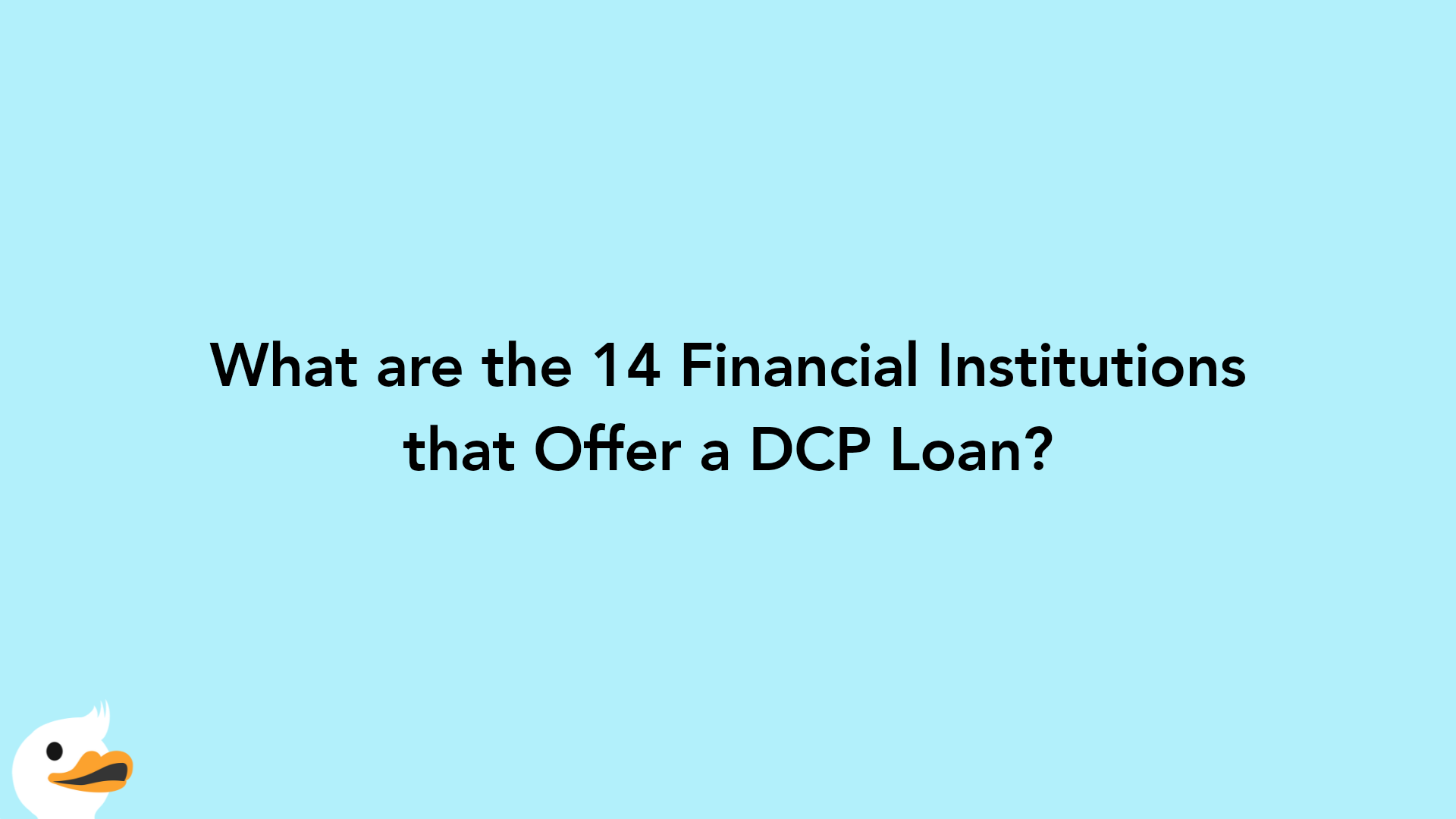 What are the 14 Financial Institutions that Offer a DCP Loan?