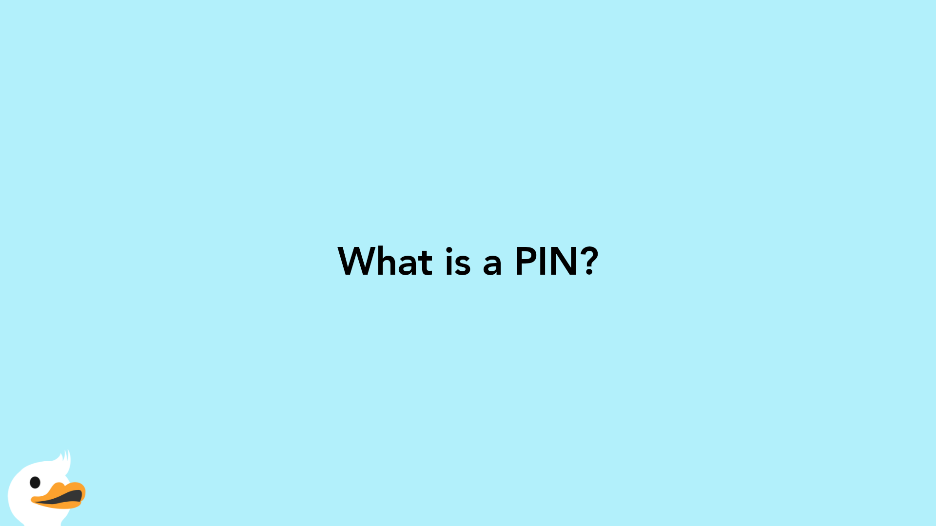 What is a PIN?