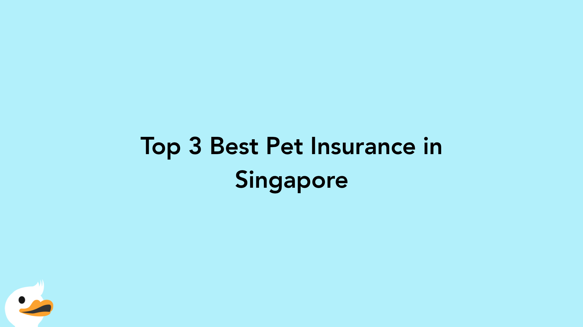 Top 3 Best Pet Insurance in Singapore