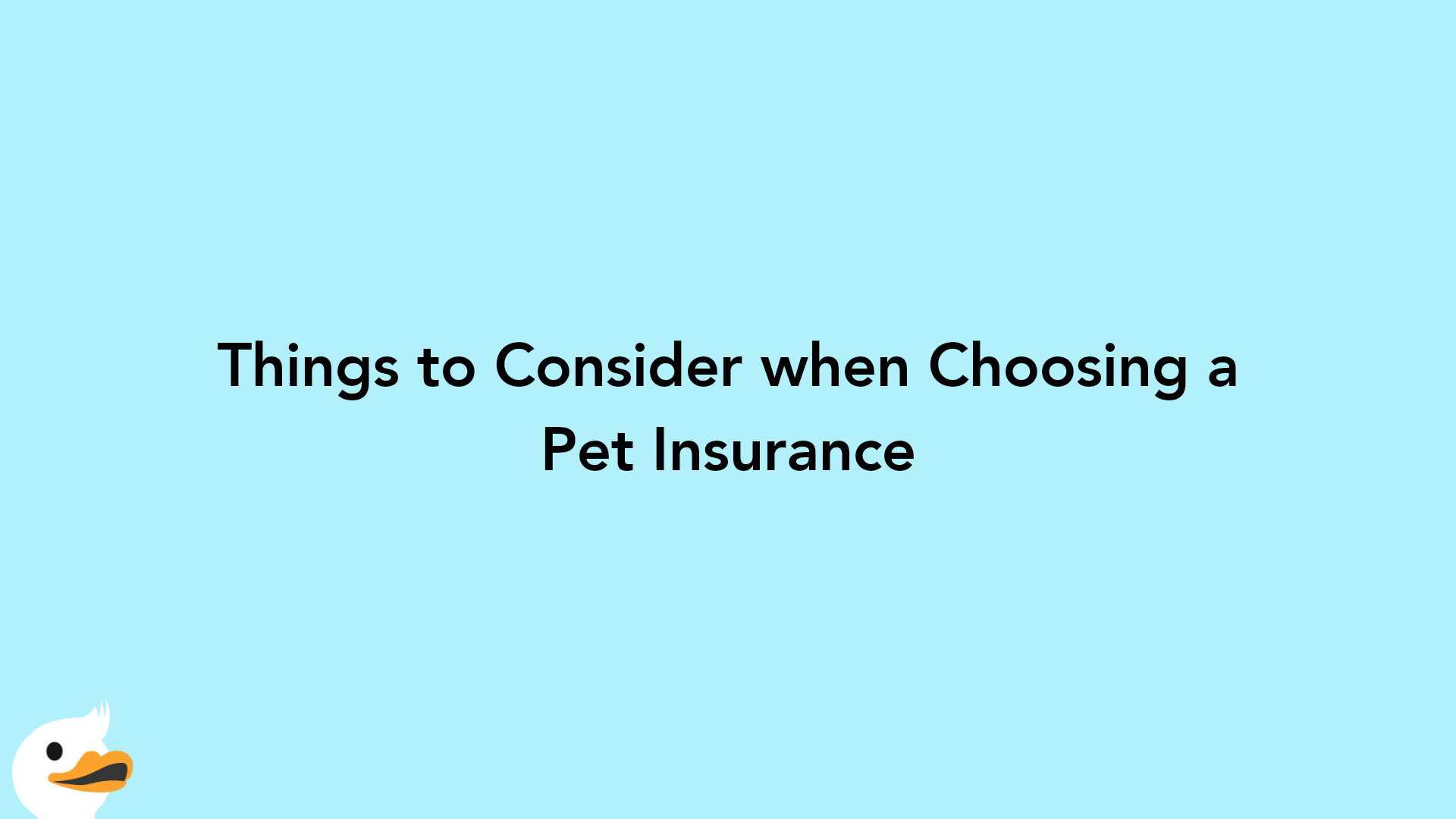 Things to Consider when Choosing a Pet Insurance